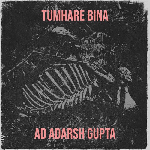 Tumhare Bina