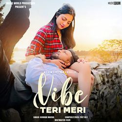 Vibe Teri Meri-HSU0fQN5BUM