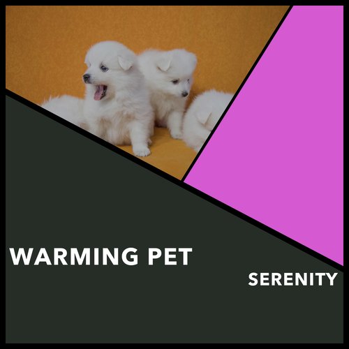 Heavenly Harmony cover art