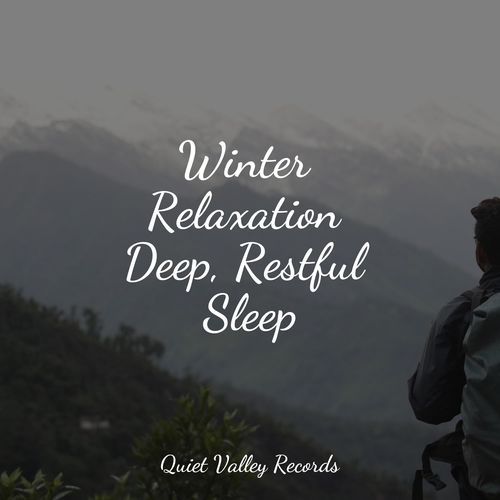 Winter Relaxation Deep, Restful Sleep