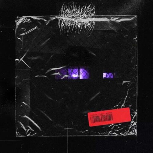 apricity // 33 cover art
