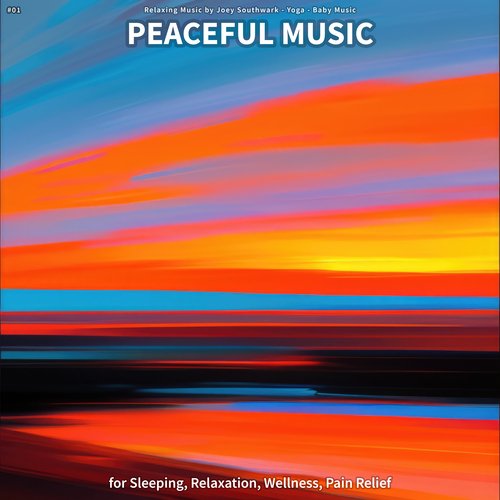 Quiet Music cover art