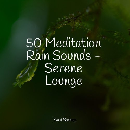 Rain, Storm and Thunder cover art
