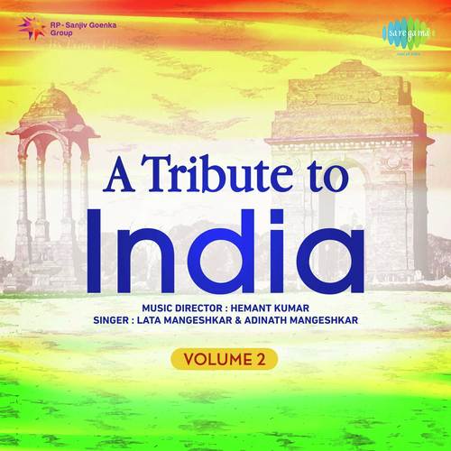 A Tribute To India Vol. 2