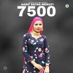 Aasif Sayar Mewati 7500 artwork