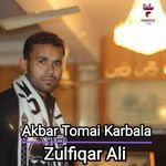 Akbar Tomai Karbala