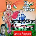 Bharat Mata Ke Bete Ham Tiranga Meri Jaan