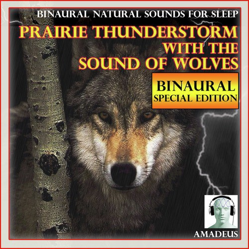 Binaural Natural Sounds for Sleep: Prairie Thunderstorm with the Sound of Wolves