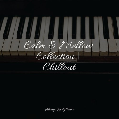 Calm & Mellow Collection | Chillout