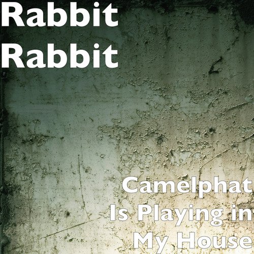 Camelphat Is Playing in My House cover art