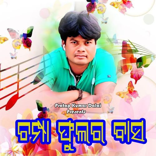Champa Phular Basa