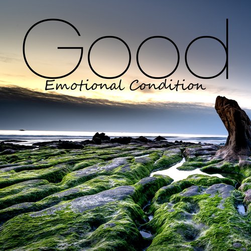 Good Emotional Condition: Feel Soothed, Relieved from the Stresses of the Day_poster_image