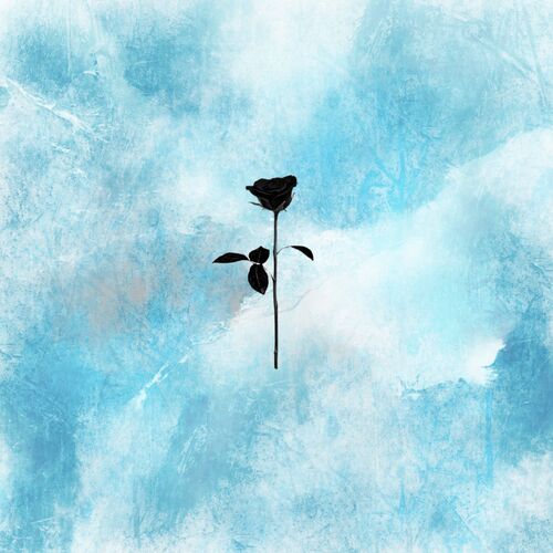 Felicity cover art