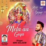 Mela Aa Geya