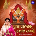 Nua Dhanare Jodi Beni
