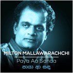 Obe Nil Nuwan Lyrics - Paya Aa Sanda - Only on JioSaavn