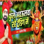 Phul Adhaulwa Kahe Rahe Trending Me