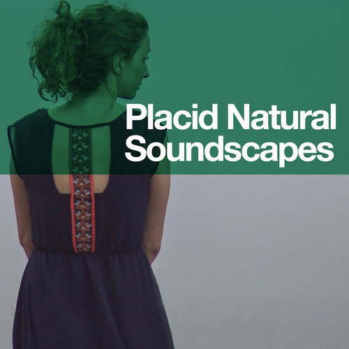 Placid Natural Soundscapes_poster_image