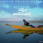 Sarvam Thaala Mayam