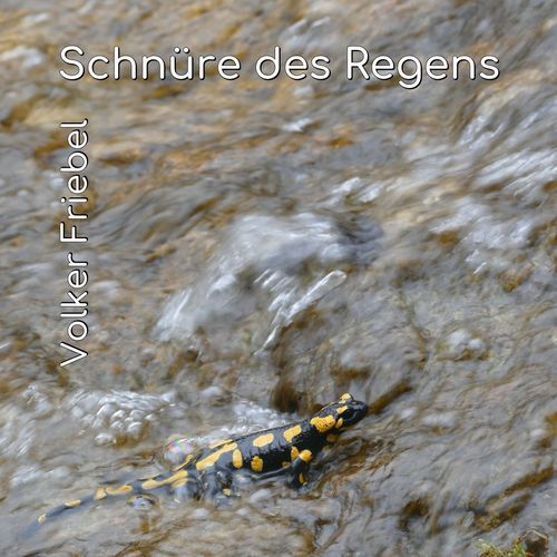 Schnüre des Regens cover art