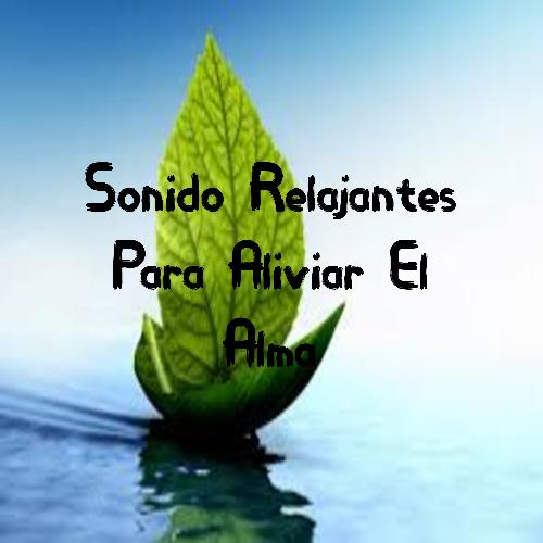 Meditacion cover art