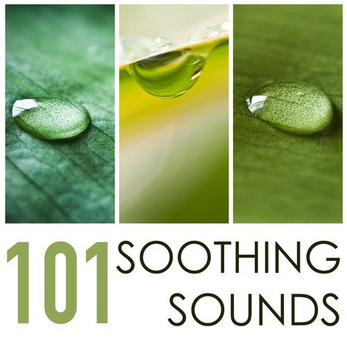 Relaxation Gamma (Zen Spa Music) cover art
