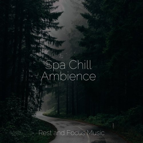 Spa Chill Ambience_poster_image