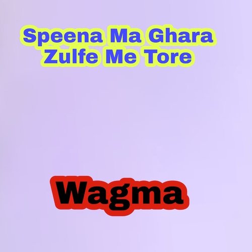 Speena Me Ghara Zulfe Me Tore