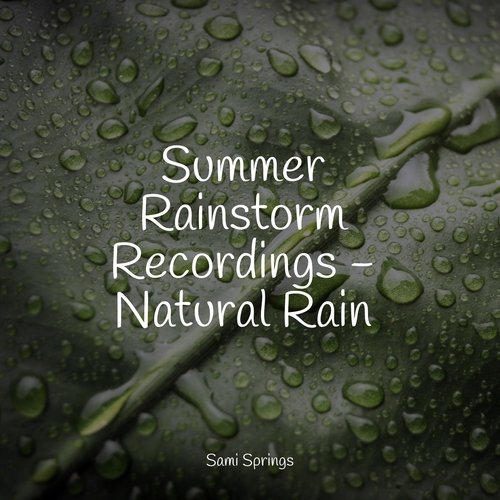 Summer Rainstorm Recordings - Natural Rain