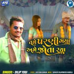 Tame Parani Gaya Ame Jota Rahya