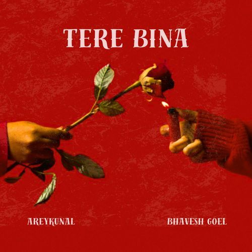 Tere Bina