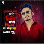 Tomar Koto Soto Mittha Kotha Chilo Mone Joma LoFi