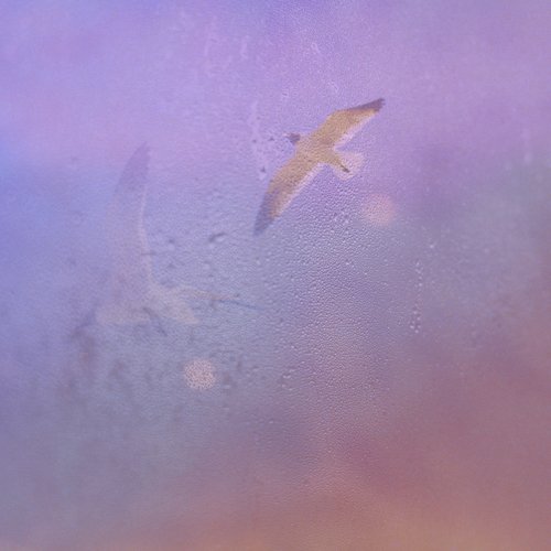 The Runner cover art