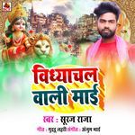 Vindhyachal Wali Maai