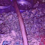 Antidote