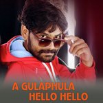 A Gulaphula Hello Hello