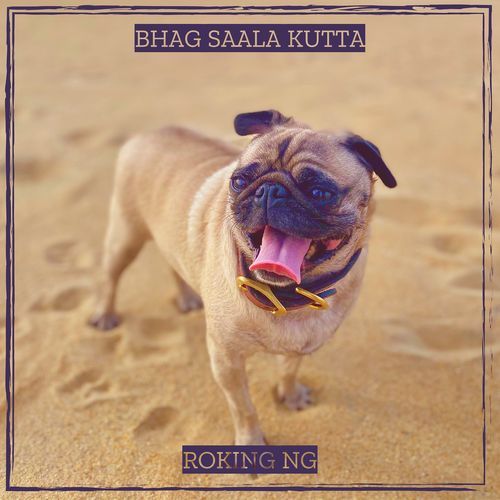 Bhag Saala Kutta