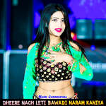 Dheere Nach Leti Bawadi Naram Kaniya