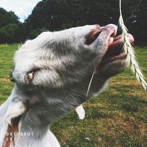 Lost Sheep cover art