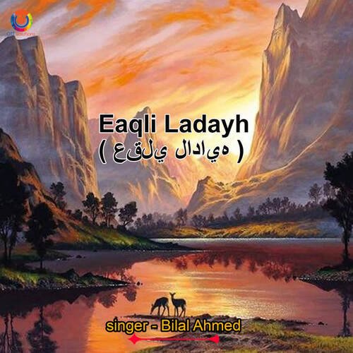 Eaqli Ladayh