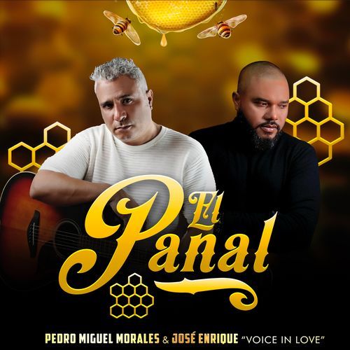 El Panal_poster_image