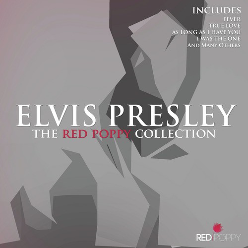 Have I Told You Lately That I Love You? Lyrics - Elvis Presley - Only on  JioSaavn