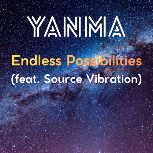 Endless Possibilities (feat. Source Vibrations)