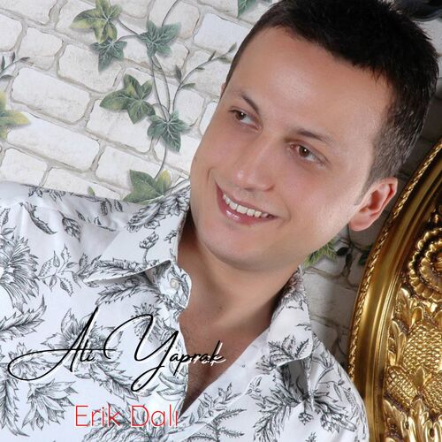 Erik Dalı