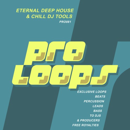 Eternal Deep House & Chill Strings 128 - 1
