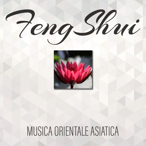 Come una bussola magnetica cover art