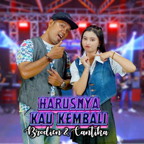 Harusnya Kau Kembali_poster_image