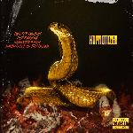Hypnotized