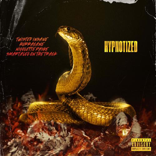 Hypnotized_poster_image