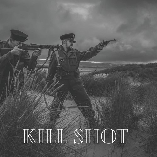 Kill shot_poster_image